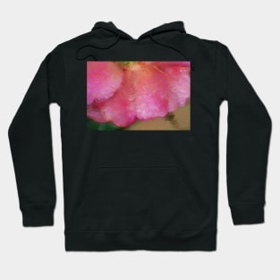 Rose Petals Hoodie